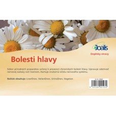 Bolesti hlavy